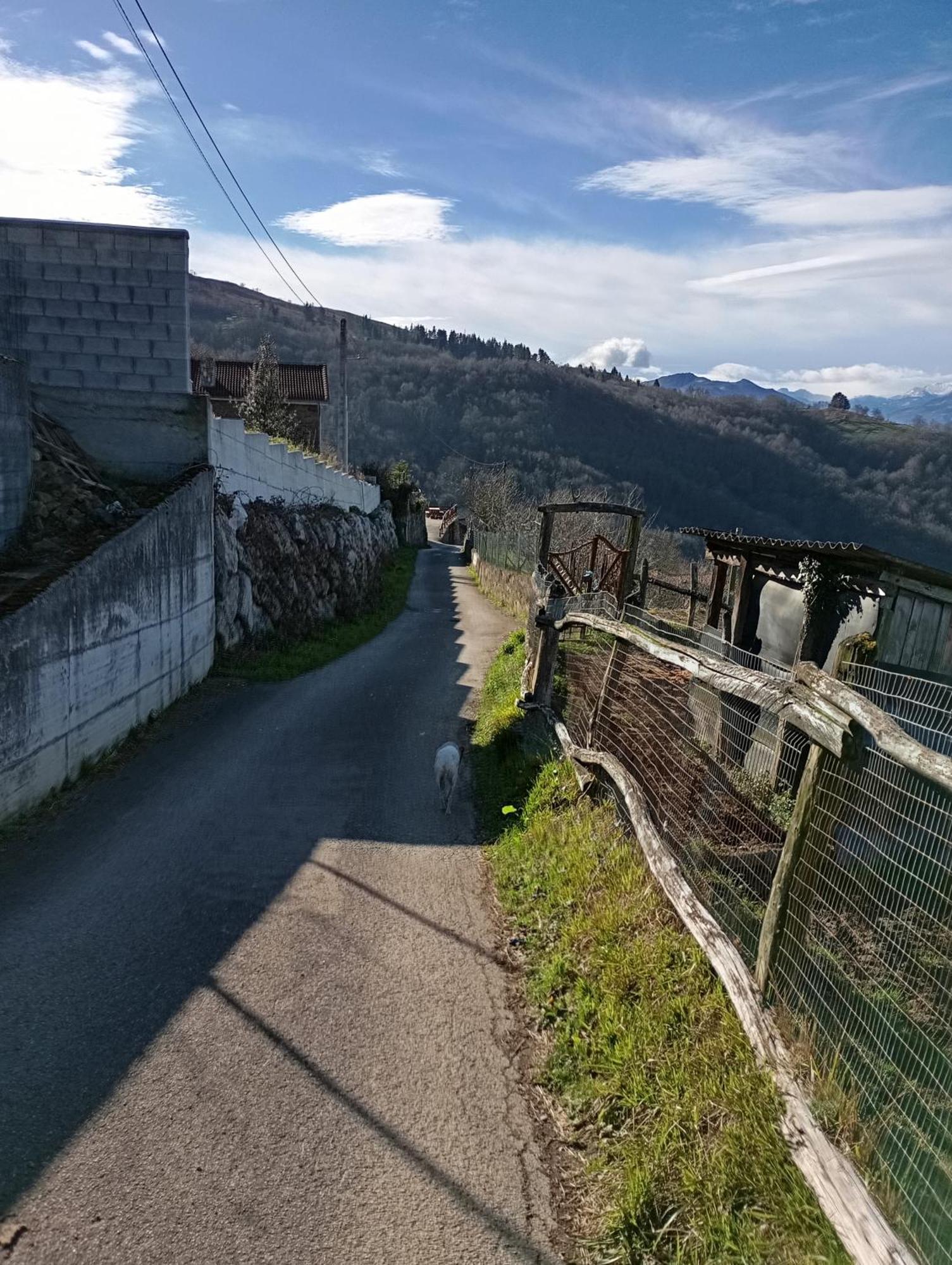 Villa La Casina De Asturias Mieres  Exterior foto